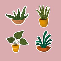 Indoor plants sticker collection vector