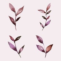 Hand painted watercolor leaves vector set