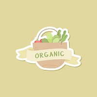 Organic food on green background vector