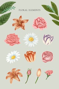 Vintage floral elements vector