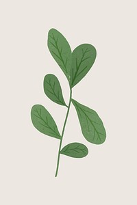 Branch with green leaves design element