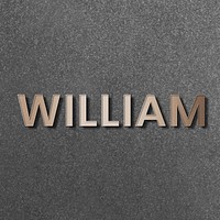 William typography in gold design element vector