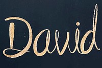 David name sparkling vector gold typography