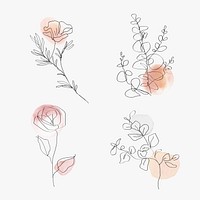 Flowers line art psd botanical watercolor minimal illustration set