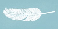 Hand drawn white feather vector on blue background