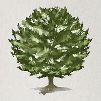 Tree element vector Yew tree