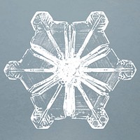 Realistic snowflakes element vector in blue background 