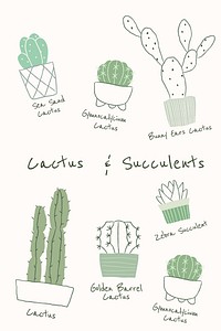 Cactus and succulent vector houseplants in hand drawn doodle style