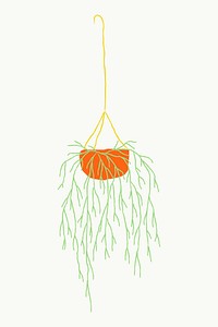 Hanging plant vector mistletoe cactus doodle