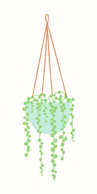 Hanging plant houseplant vector doodle