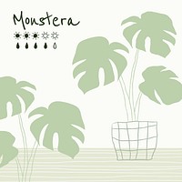 Watering chart template vector for monstera