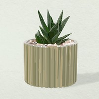 Plant vector art, aloe vera in a flower pot