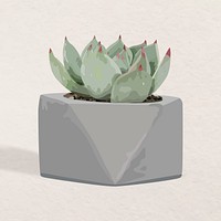 Plant vector art, succulent in a flower pot