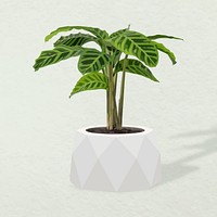 Plant vector art, dumb cane in a flower pot