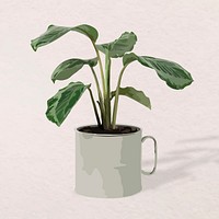 Houseplant vector image, Calathea plant potted home interior decoration