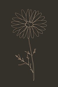 Flower hand drawn vector single line art