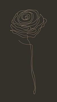 Rose flower line drawing vector