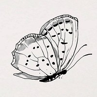 Ink line butterfly sticker illustration vector