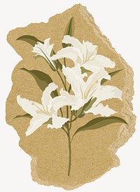 White lily flowers, ripped paper collage element