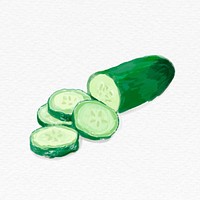 Green cucumber watercolor drawing psd