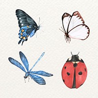 Watercolor butterfly and insects vector