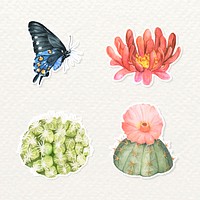 Butterfly and cactus watercolor sticker vector set