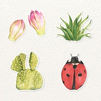 Ladybug and cactus watercolor sticker vector set