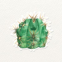 Gymnocalycium monvillei cactus sticker vector