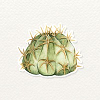 Cactus watercolor sticker vector