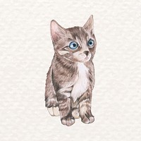 Hand-drawn cute cat psd in watercolor
