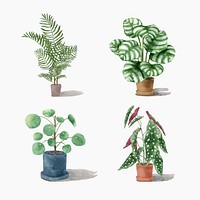 Tropical watercolor plant illustration set