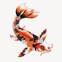 Japanese koi fish sticker, animal isolated image psd