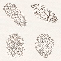 Conifer cone sticker vector set