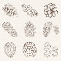 Conifer cone sticker vector set