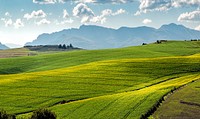 Green field. Original public domain image from Wikimedia Commons