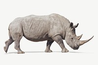 Rhino collage element, wildlife photo psd