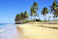 Dominican Republic Beach Bavaro Tropics. Original public domain image from Wikimedia Commons