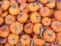 A bunch of "mini" pumpkins at an open-air farmers' market. Original public domain image from Wikimedia Commons