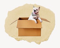 French Bulldog puppy ripped paper, cute pet graphic