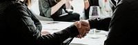 Businesswoman shaking hands with a partner