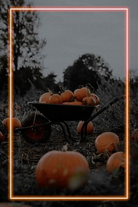 Halloween pumpkin on a wheelbarrow with neon frame