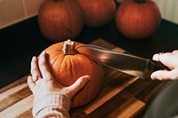 Woman slicing pumpkin for Thanksgiving dinner food photography