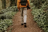 Photographer walking in the woods outdoor  rearview