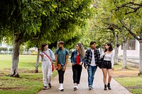 Diverse university students at campus in summertime