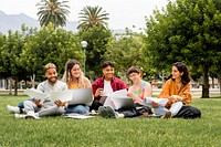 College students working together in the park