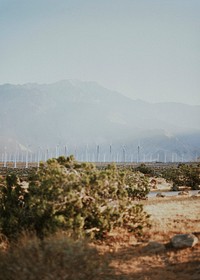 Wind turbines in the Palm Springs desert, USA