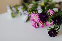 Closeup of pink and purple flowers