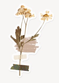 Daisy flower, Autumn scrapbook collage, off white design