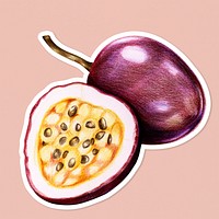 Fresh passion fruit illustration psd food drawing