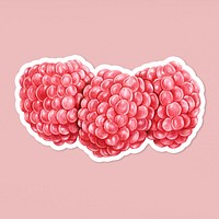 Raspberry fruit psd illustration organic food